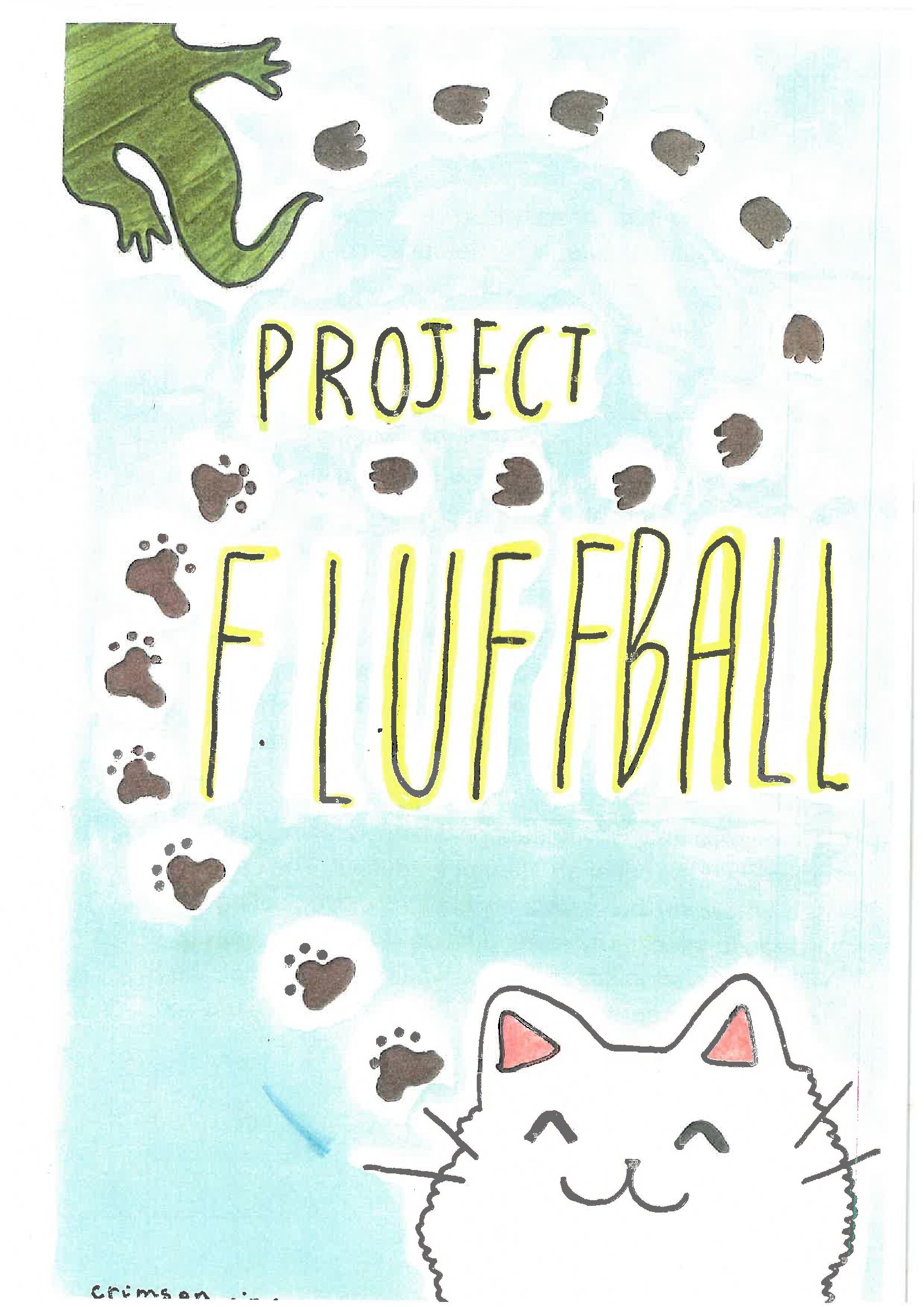 Project Fluffball