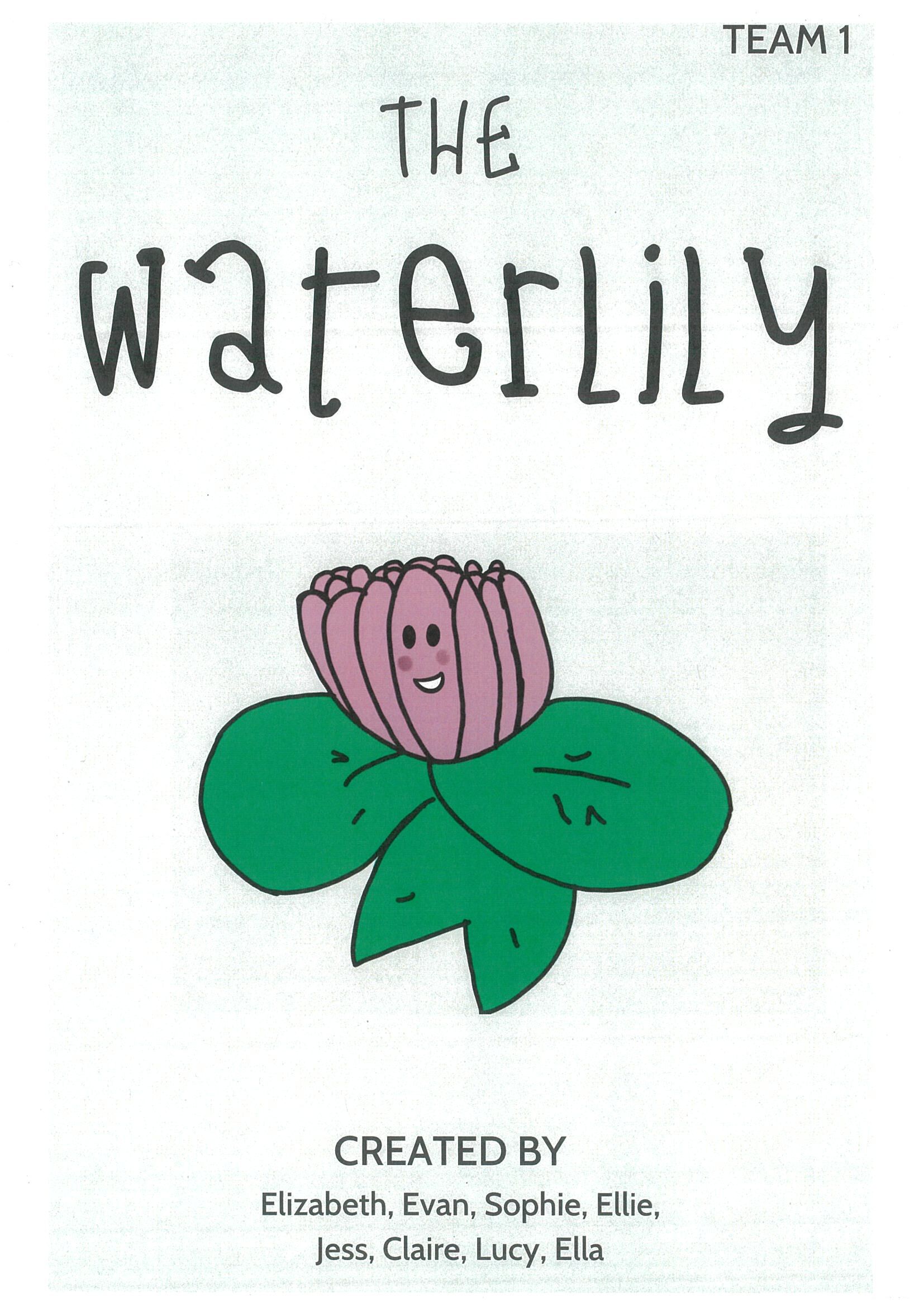 The Waterlilly